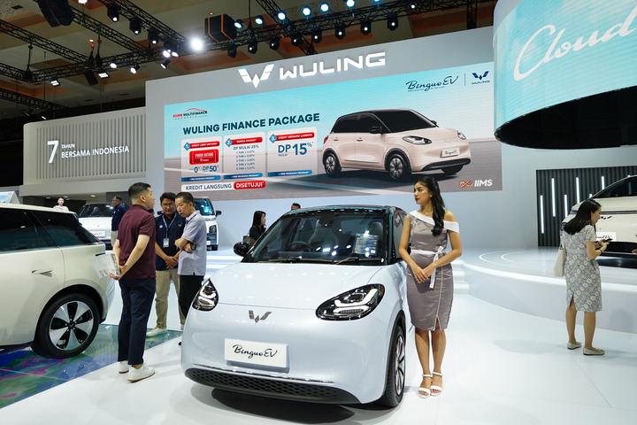 Wuling Finance IIMS 2024