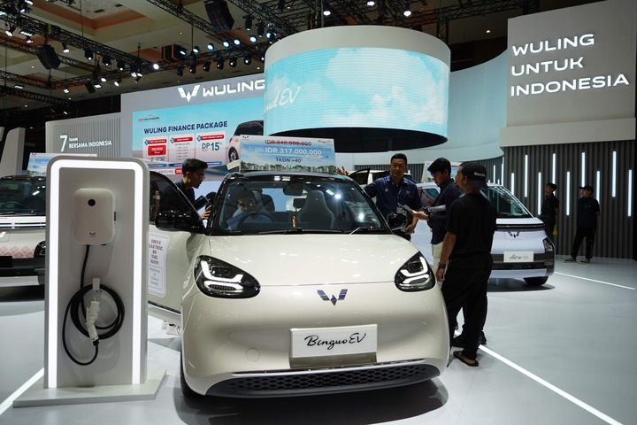 Wuling Finance IIMS 2024