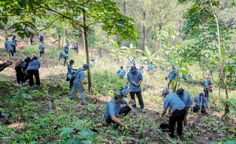 Inisiatif Hijau TÜV Rheinland Indonesia Bersama Perhutani: Penanaman 200 Pohon untuk Masa Depan Berkelanjutan