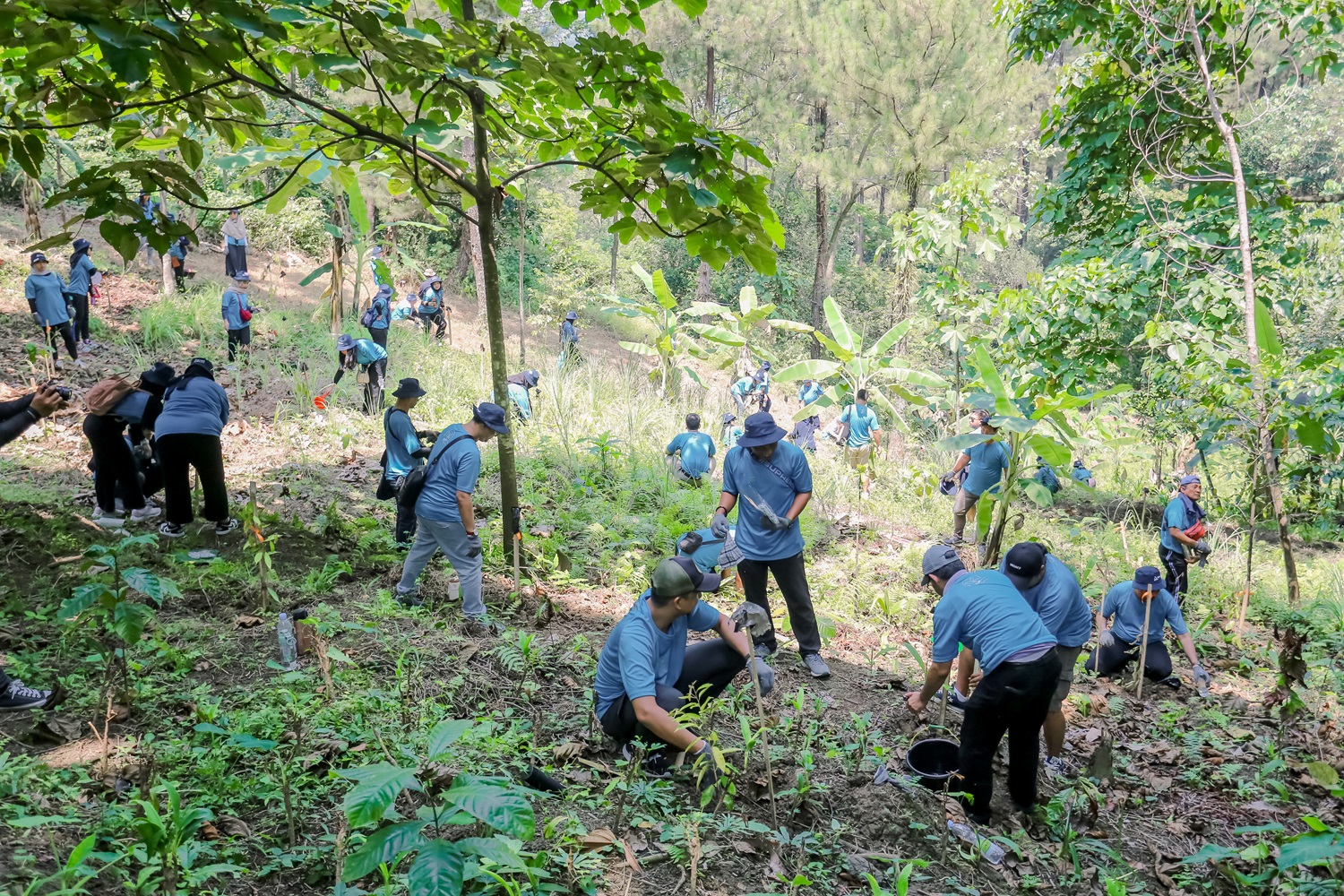 Inisiatif Hijau TÜV Rheinland Indonesia Bersama Perhutani: Penanaman 200 Pohon untuk Masa Depan Berkelanjutan