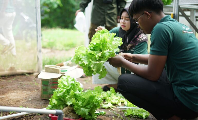 Sharp Hydro Heroes Sukses Ciptakan Petani Muda Berkelanjutan