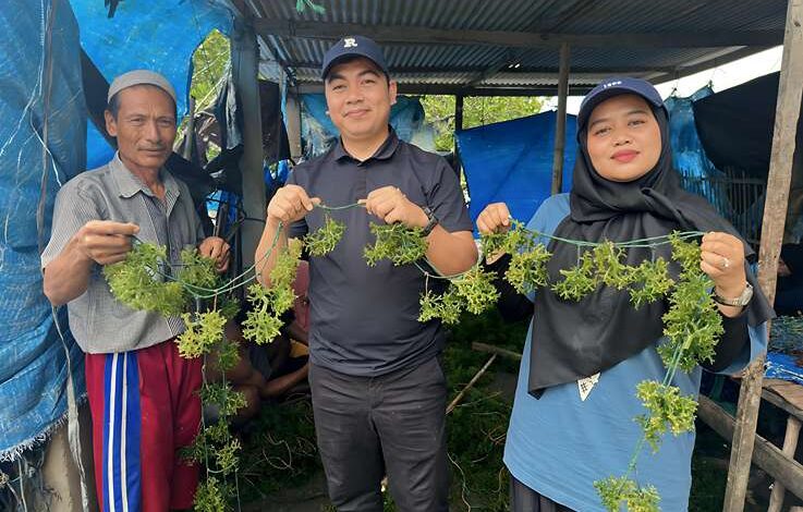 BANYU Raih Pendanaan Awal US$1,25 Juta untuk Dorong Transformasi Industri Rumput Laut Indonesia di Pasar Global