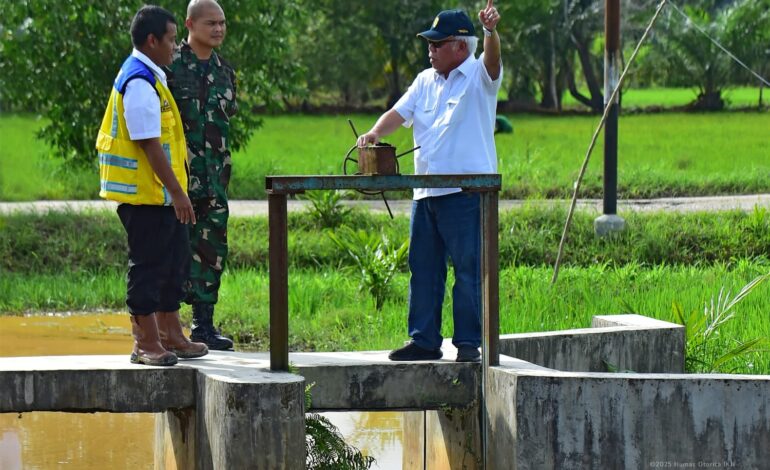 Kepala Otorita IKN Tinjau Daerah Irigasi Rawa Sebakung