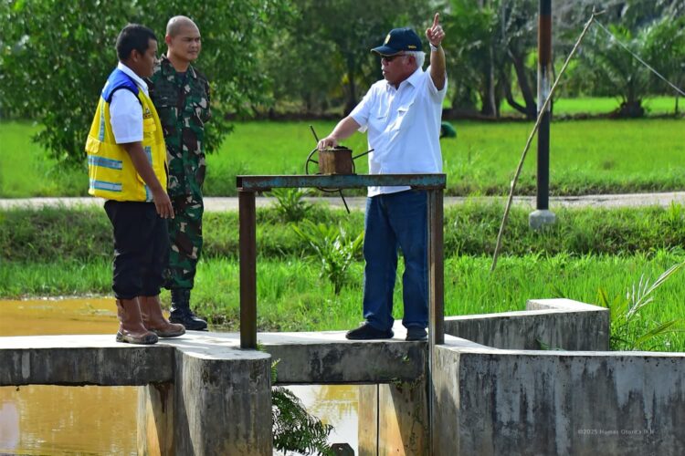 Kepala Otorita IKN Tinjau Daerah Irigasi Rawa Sebakung